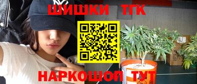 2c-b Кингисепп