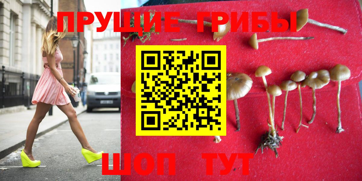 Псилоцибиновые грибы Psilocybine cubensis  Вход с VPN  Южноуральск 