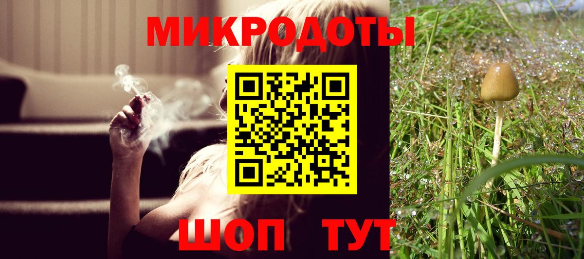 Псилоцибиновые грибы мицелий Южноуральск